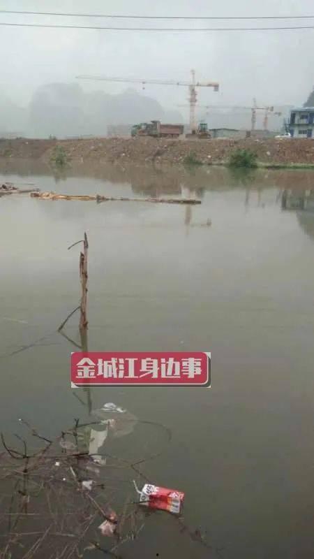 河池市网友爆料新闻,惊现神秘事件，真相令人震惊！  第2张